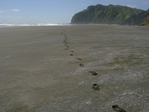 Karekare beach footprints