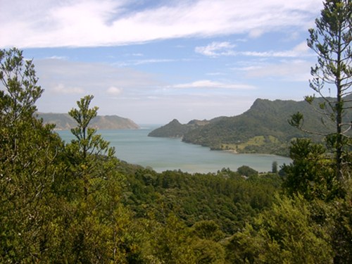 Looking west out towards the Manukau Heads