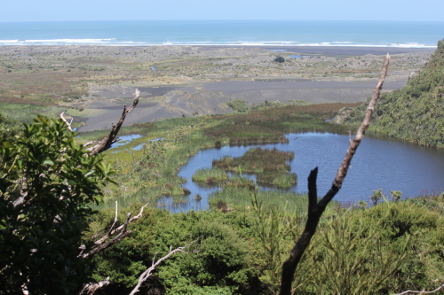 Looking down on the wetlands