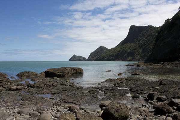 Makaka Bay, at the bottom of Destruction Gully Track