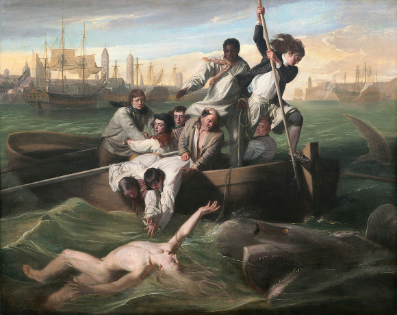 Watson and the Shark, by Copley