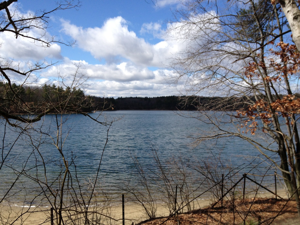 Walden Pond Itself