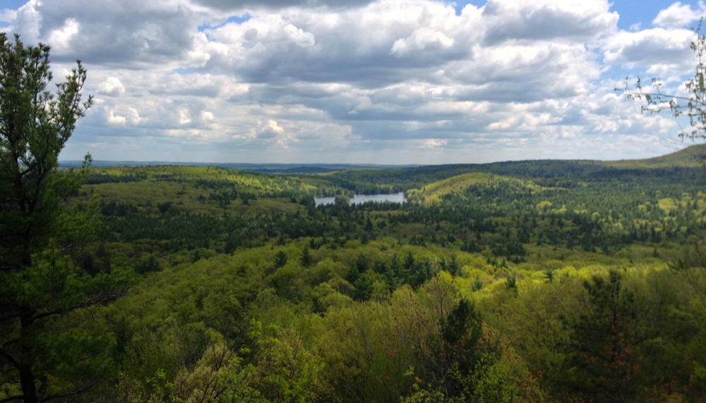 Leominster State Forest vista