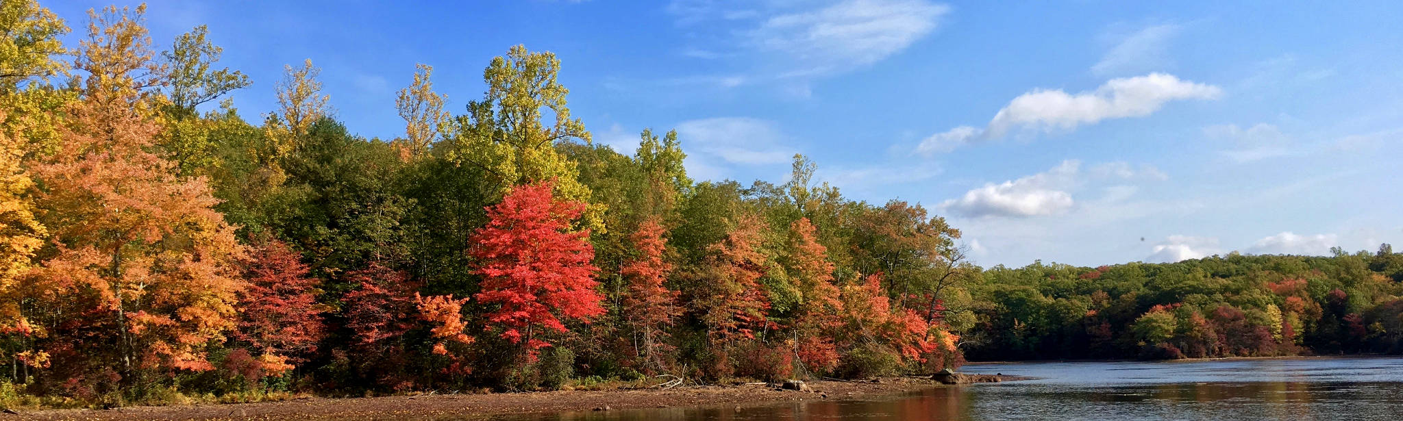 Connecticut fall colours, imperfectly captured by my cell phone