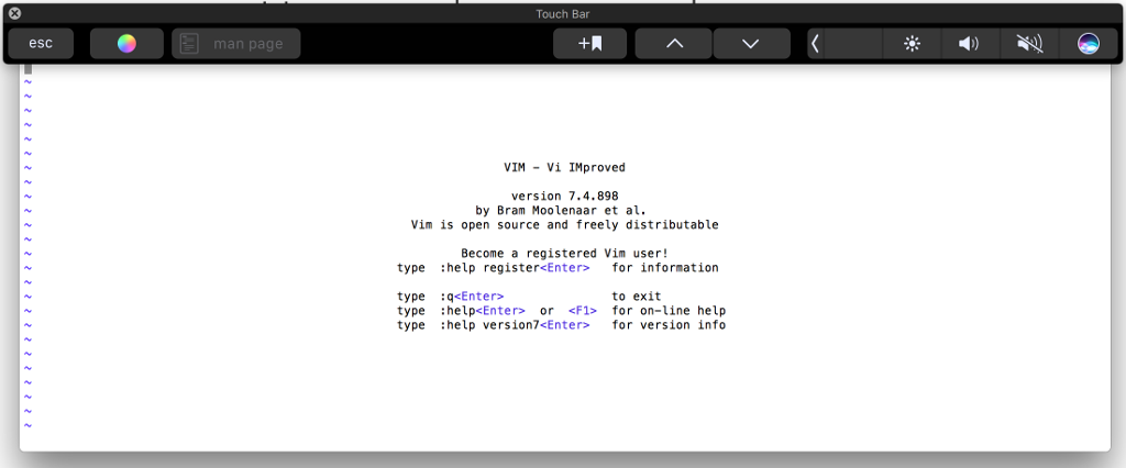 vi and the evil touch bar