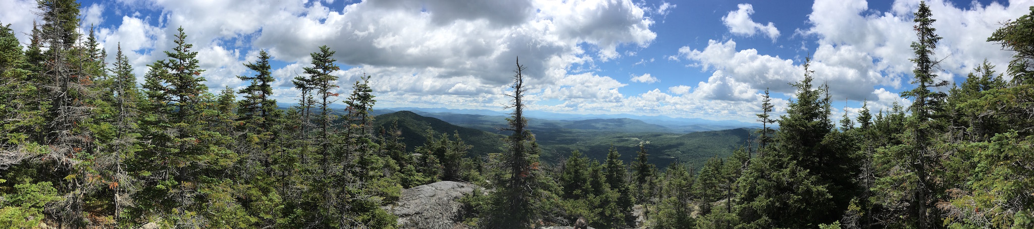 The view from near the top of Mount Burke - <a href="mount_burke_view.jpg">large view</a>