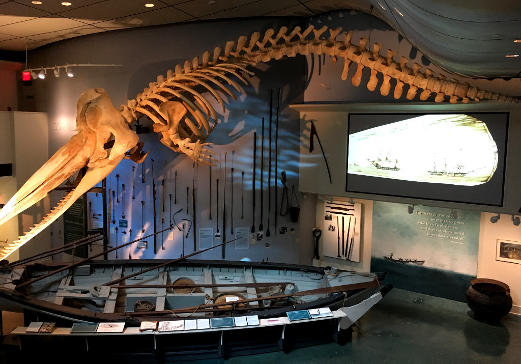 Whaling Museum