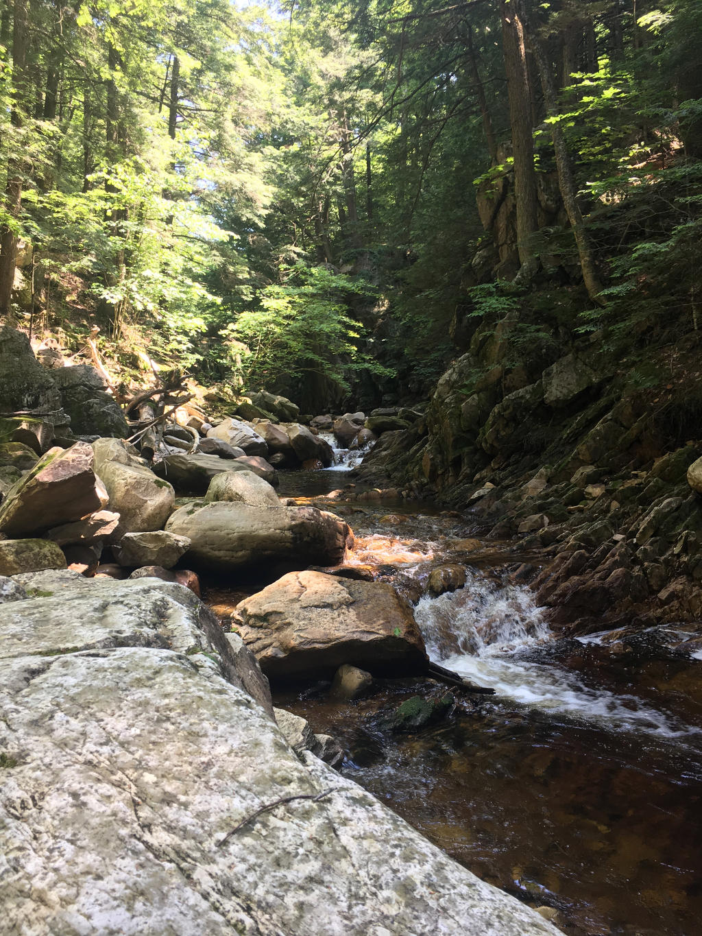 The waterfall itself didn't photograph well so all you get is this babbling stream