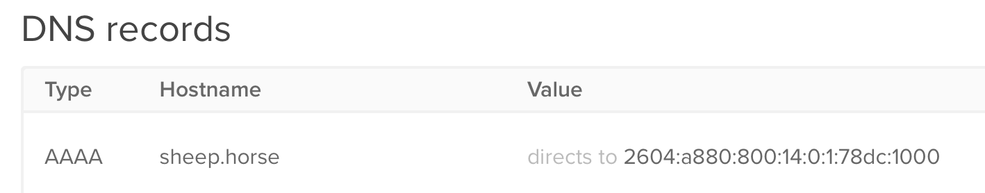 A screenshot showing my brand new AAAA record for IPv6 connectivity