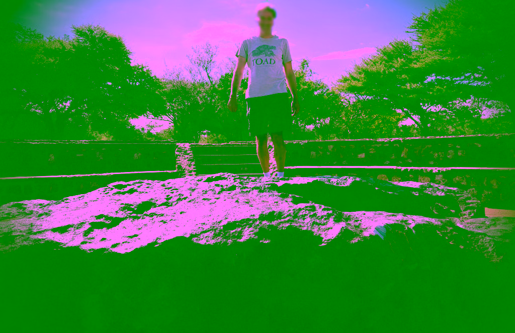 Your author standing on the meteorite.