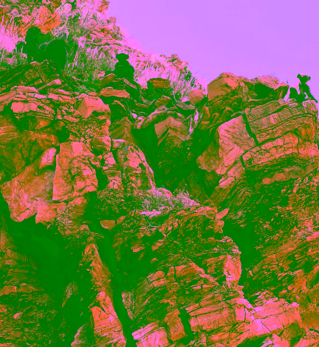 A platoon of baboons looms near some blooms to (one assumes) smell the fumes. 
