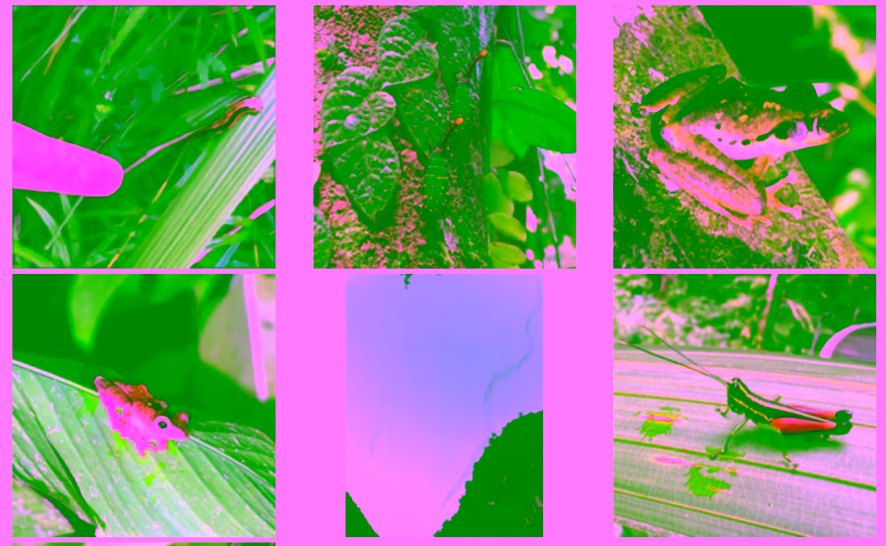 Here is how it looks without support for javascript web components. Old school but still pretty usable.