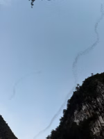 One of the coolest things we saw was the millions of bats streaming out of Deer Cave in Mulu National Park. Most evening millions of small bats stream out of the cave into the darkening skies. Each bat is nearly silent but there are so many that the roar of their wings is audible as they travel hundreds of feet above the audience.