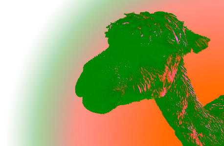 A sheep/horse