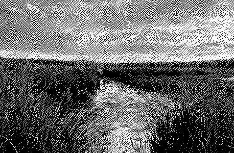 Atkinson Dithered Sunset